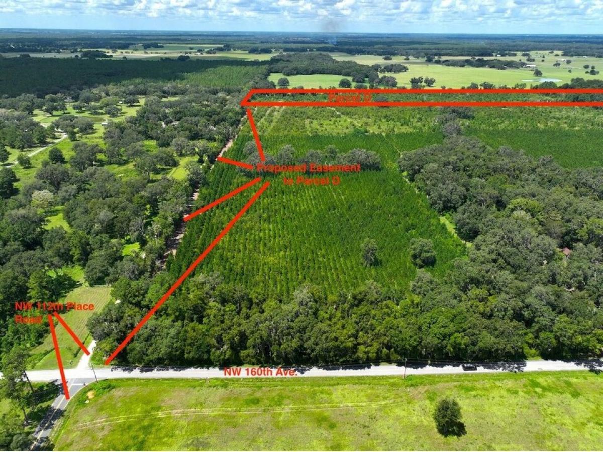 Picture of Residential Land For Sale in Morriston, Florida, United States