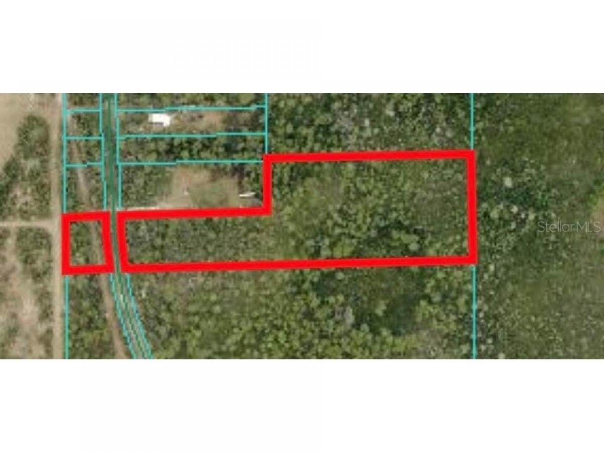 Picture of Residential Land For Sale in Fort Mc Coy, Florida, United States