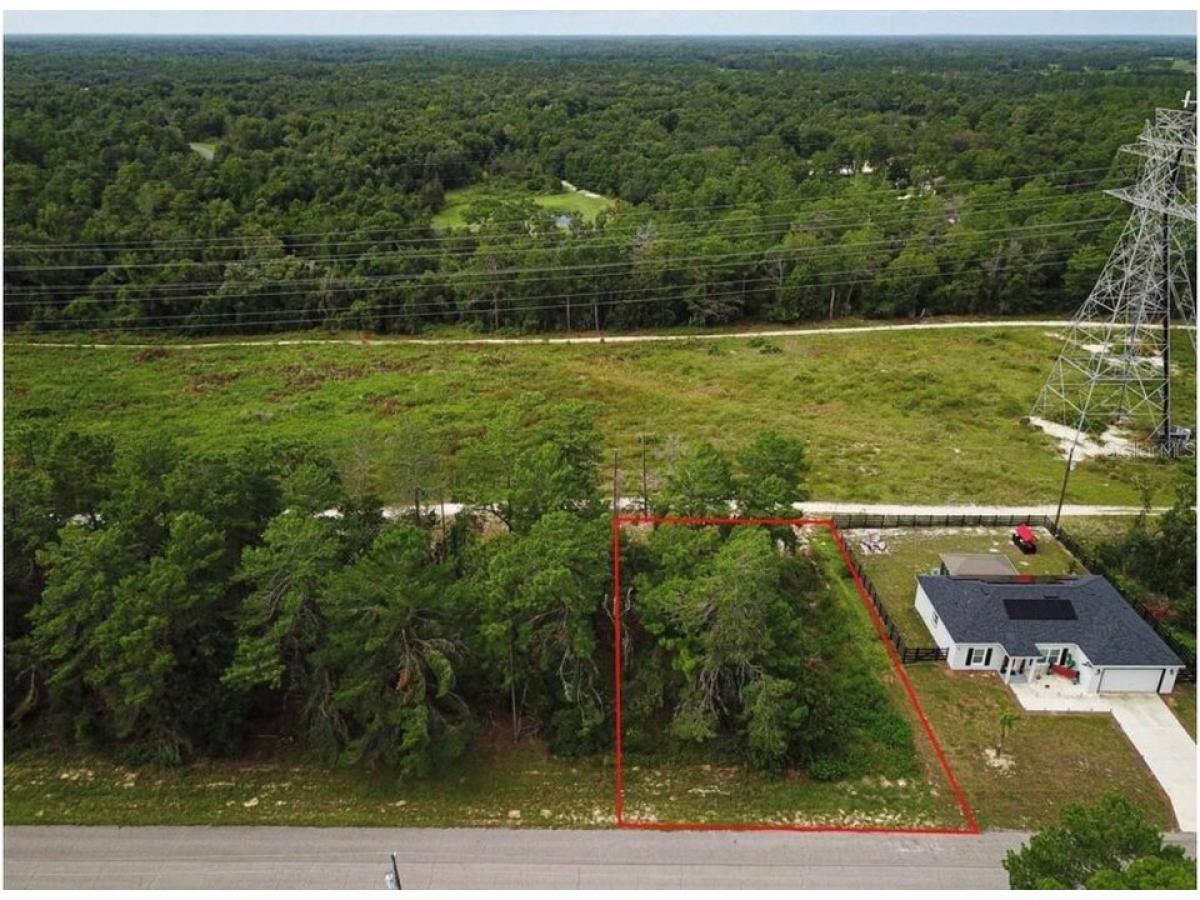 Picture of Residential Land For Sale in Ocala, Florida, United States