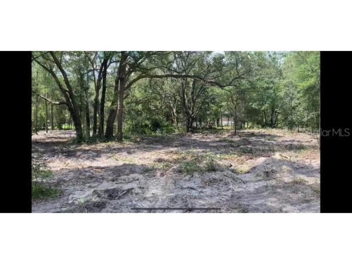 Picture of Residential Land For Sale in Morriston, Florida, United States