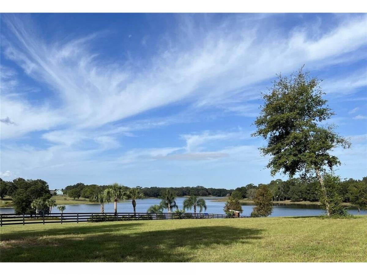 Picture of Home For Sale in Weirsdale, Florida, United States