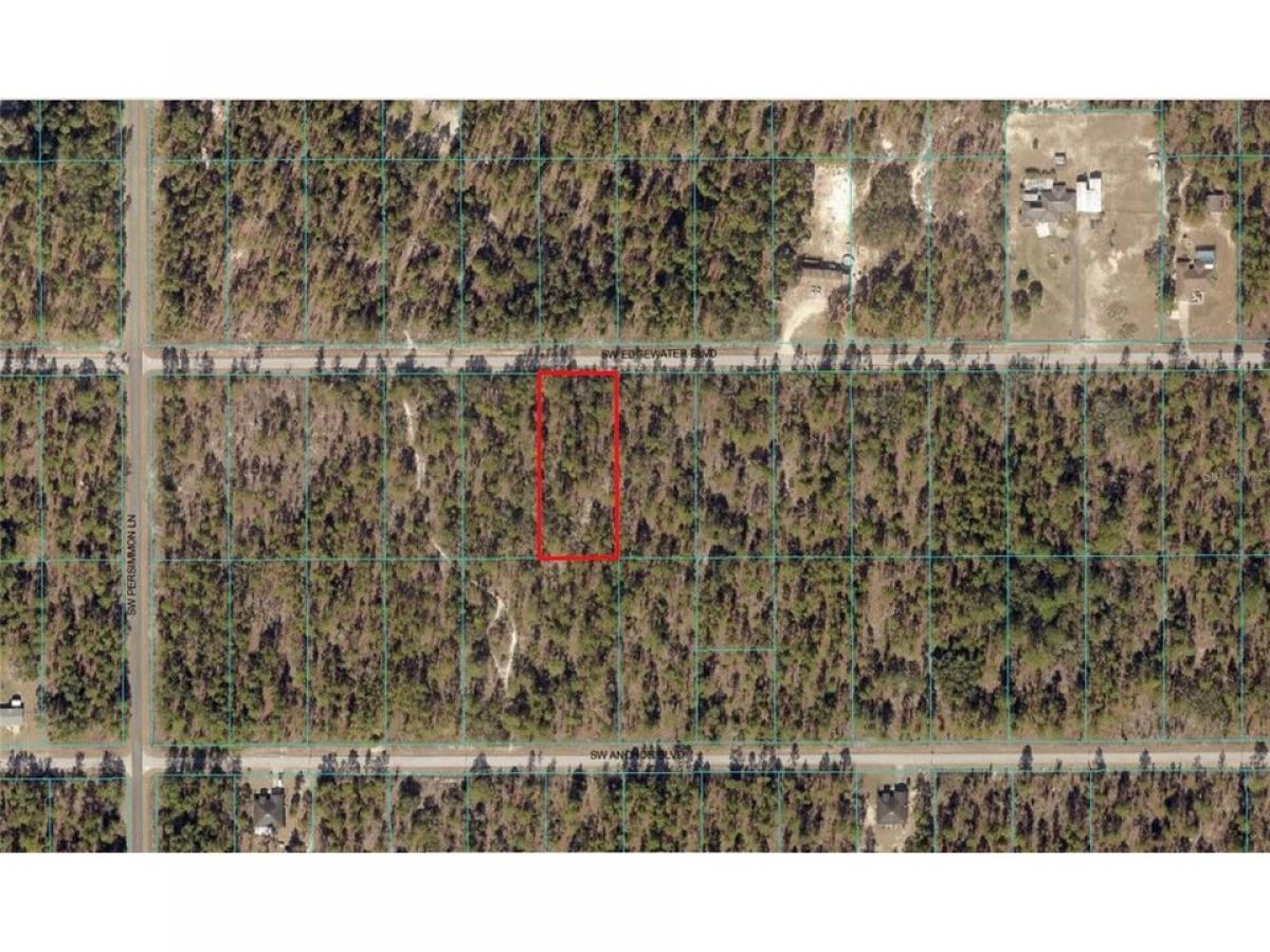 Picture of Residential Land For Sale in Dunnellon, Florida, United States