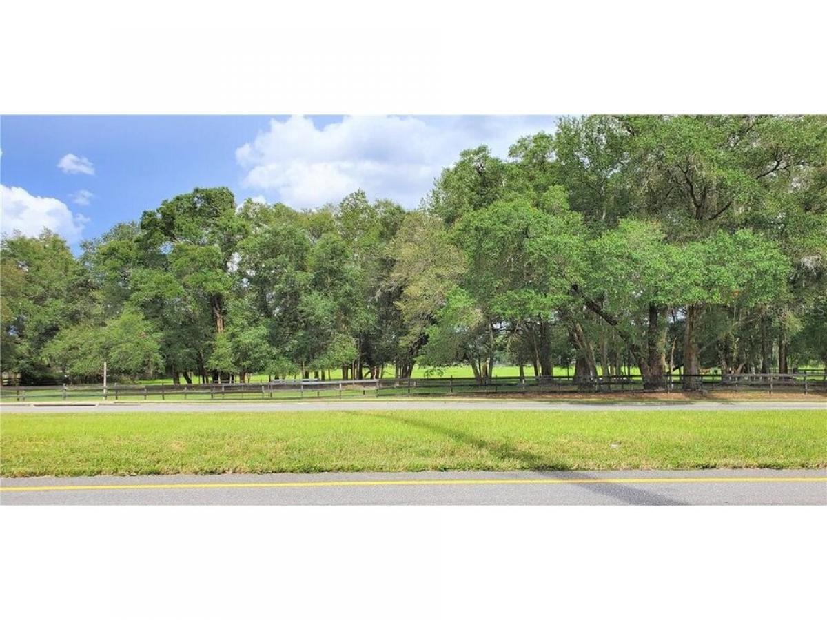 Picture of Residential Land For Sale in Ocala, Florida, United States