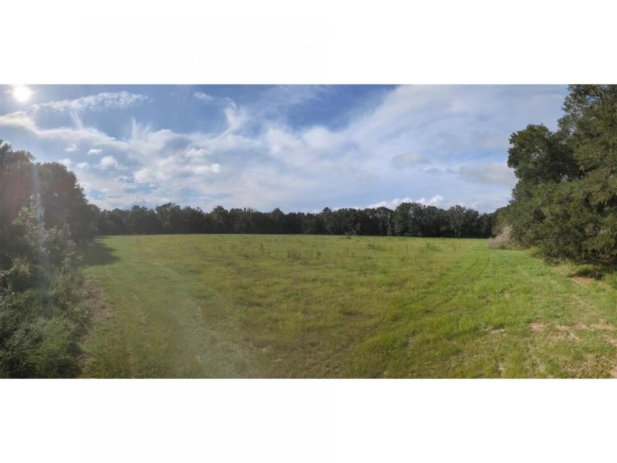 Picture of Residential Land For Sale in Lake City, Florida, United States