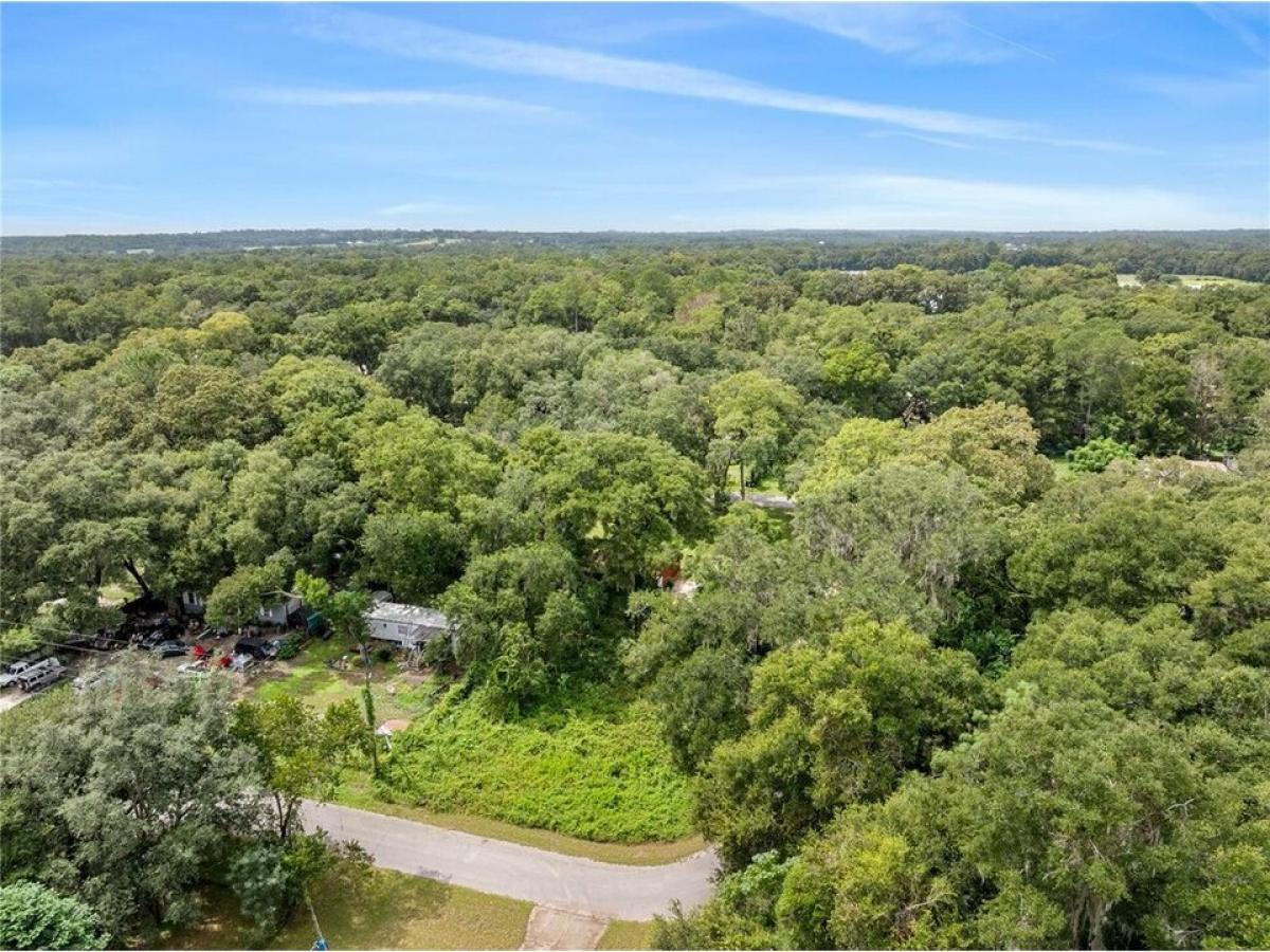 Picture of Residential Land For Sale in Ocala, Florida, United States