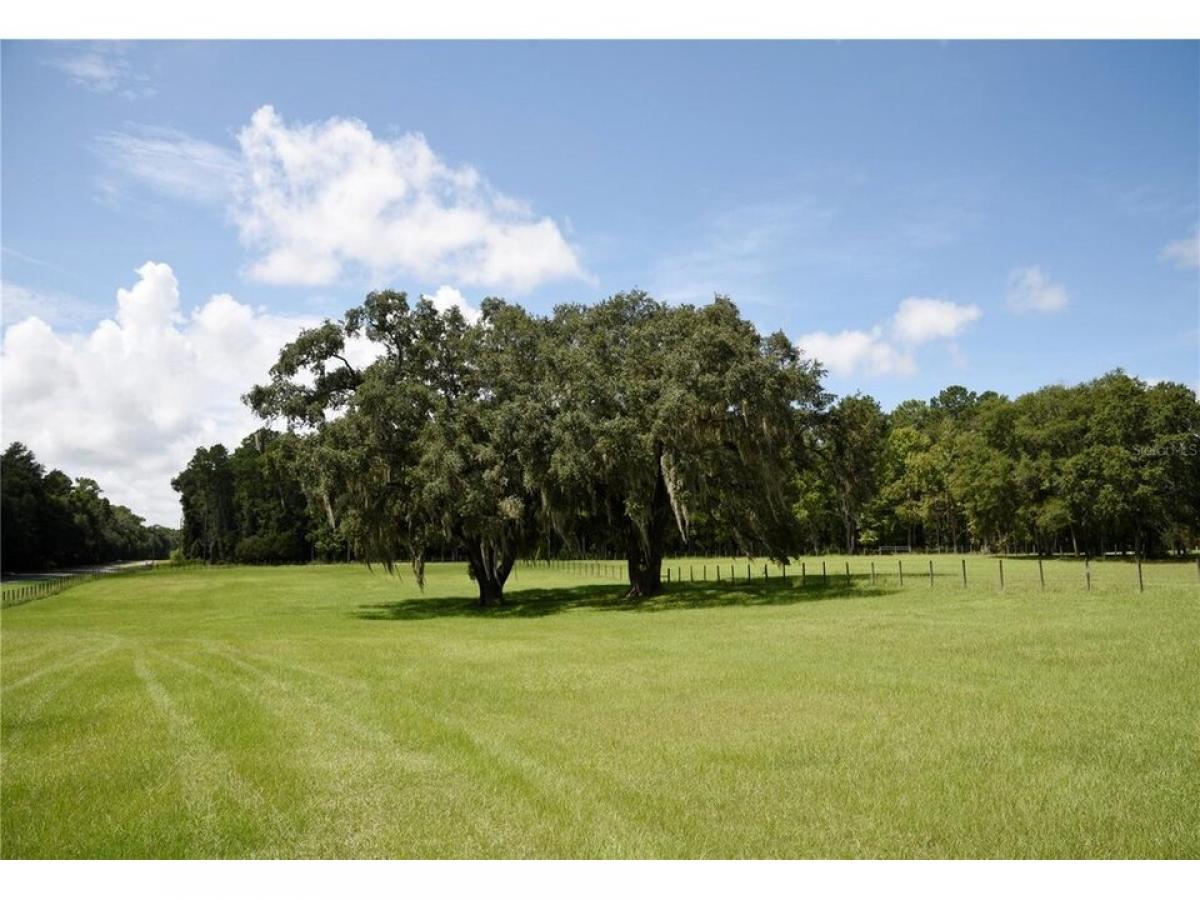 Picture of Home For Sale in Alachua, Florida, United States