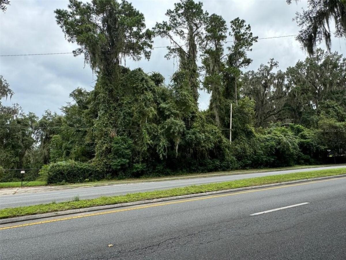 Picture of Residential Land For Sale in Gainesville, Florida, United States