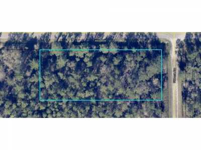 Residential Land For Sale in Hastings, Florida