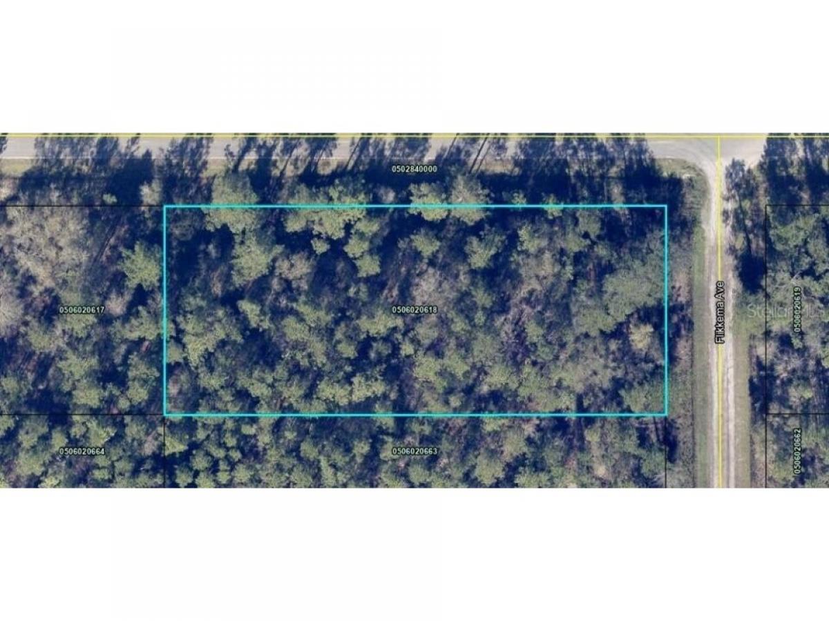 Picture of Residential Land For Sale in Hastings, Florida, United States