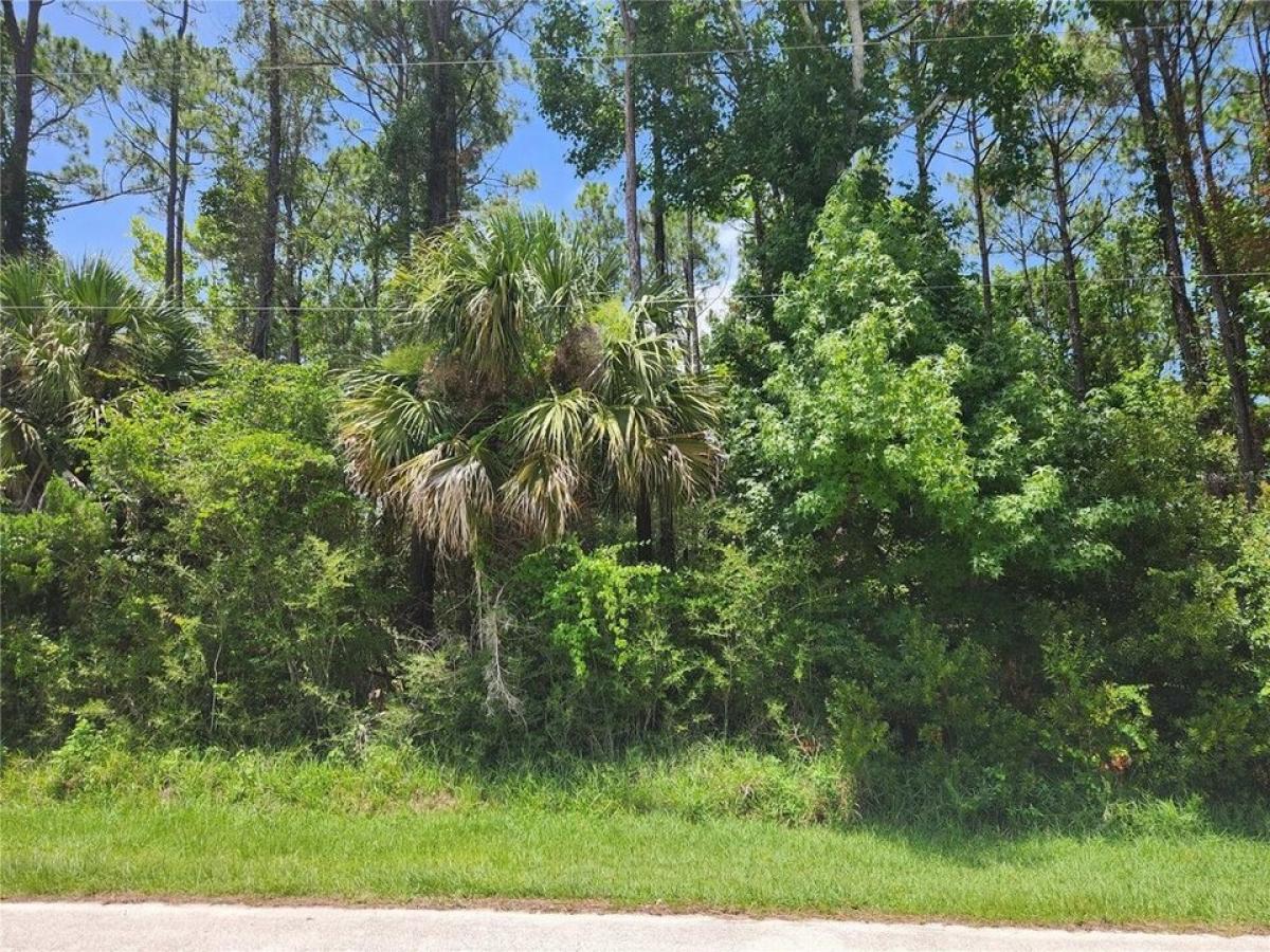 Picture of Residential Land For Sale in Palm Coast, Florida, United States