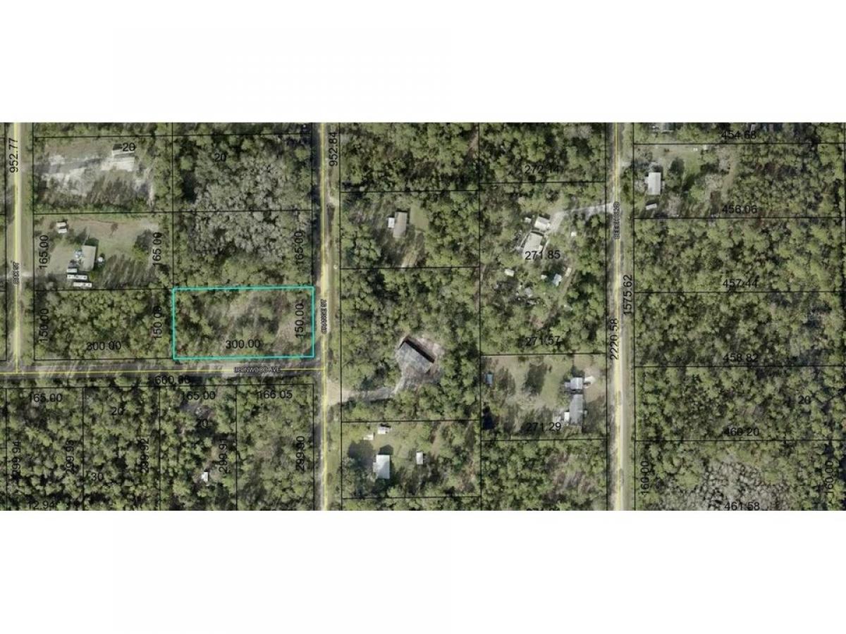 Picture of Residential Land For Sale in Bunnell, Florida, United States