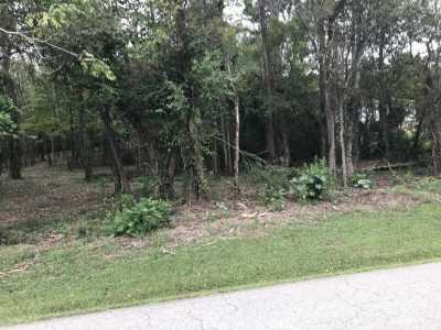 Residential Land For Sale in Morristown, Tennessee