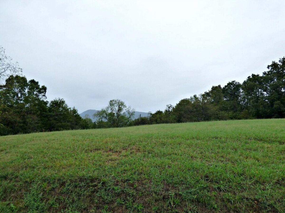 Picture of Residential Land For Sale in Blaine, Tennessee, United States