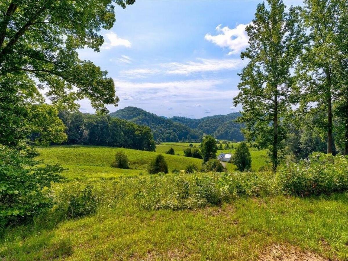 Picture of Residential Land For Sale in Sneedville, Tennessee, United States