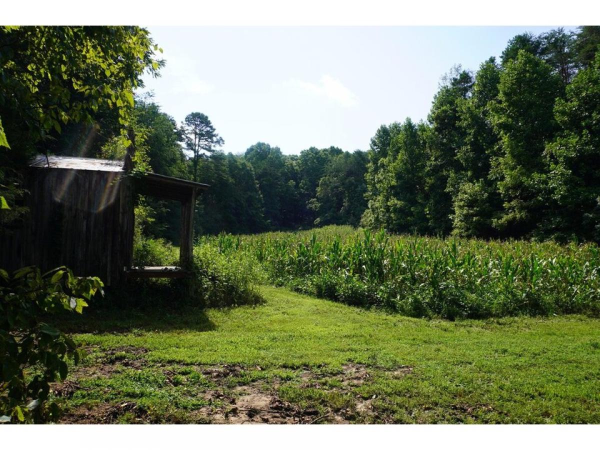 Picture of Residential Land For Sale in New Market, Tennessee, United States