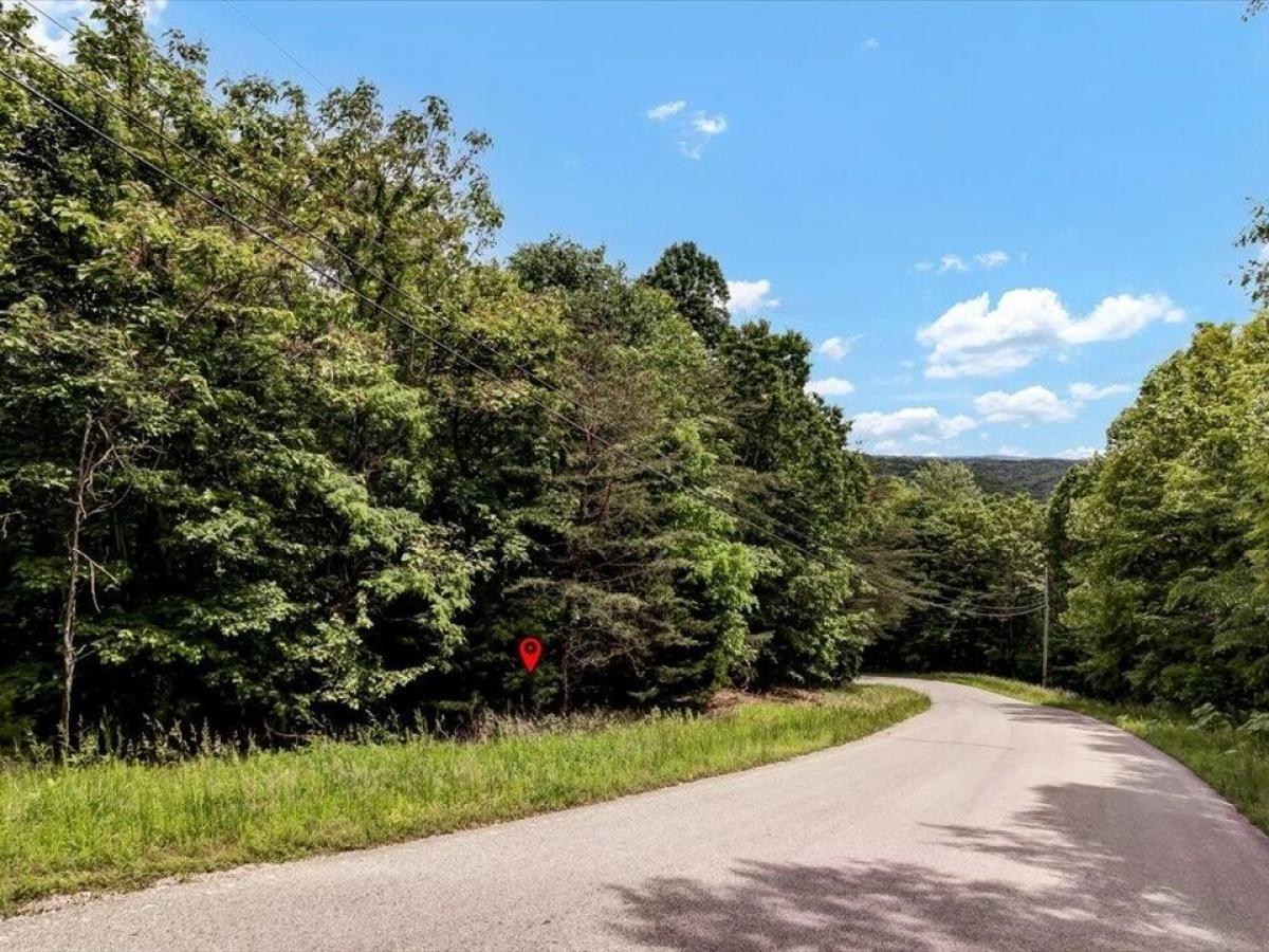 Picture of Residential Land For Sale in New Tazewell, Tennessee, United States