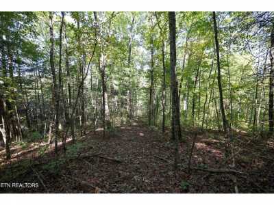 Residential Land For Sale in Townsend, Tennessee