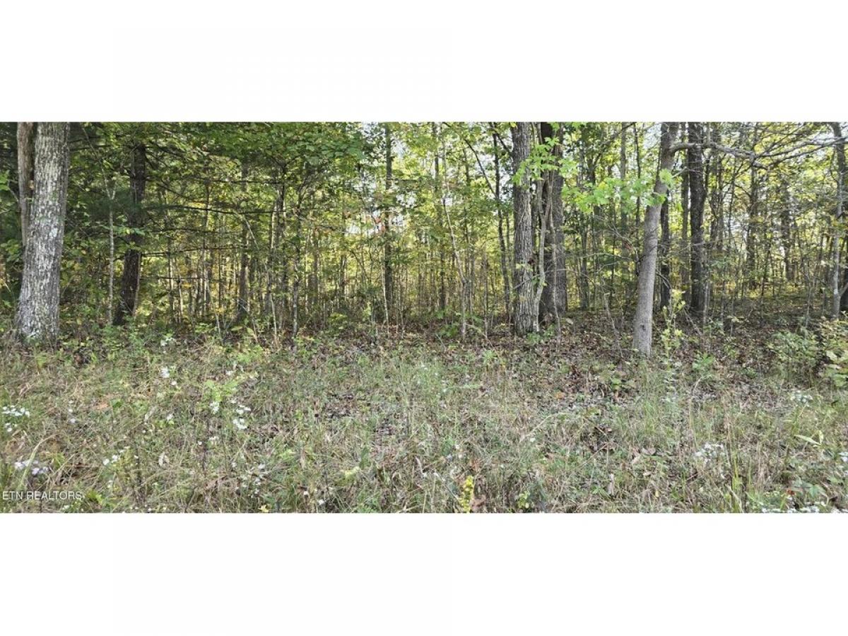 Picture of Residential Land For Sale in Crossville, Tennessee, United States