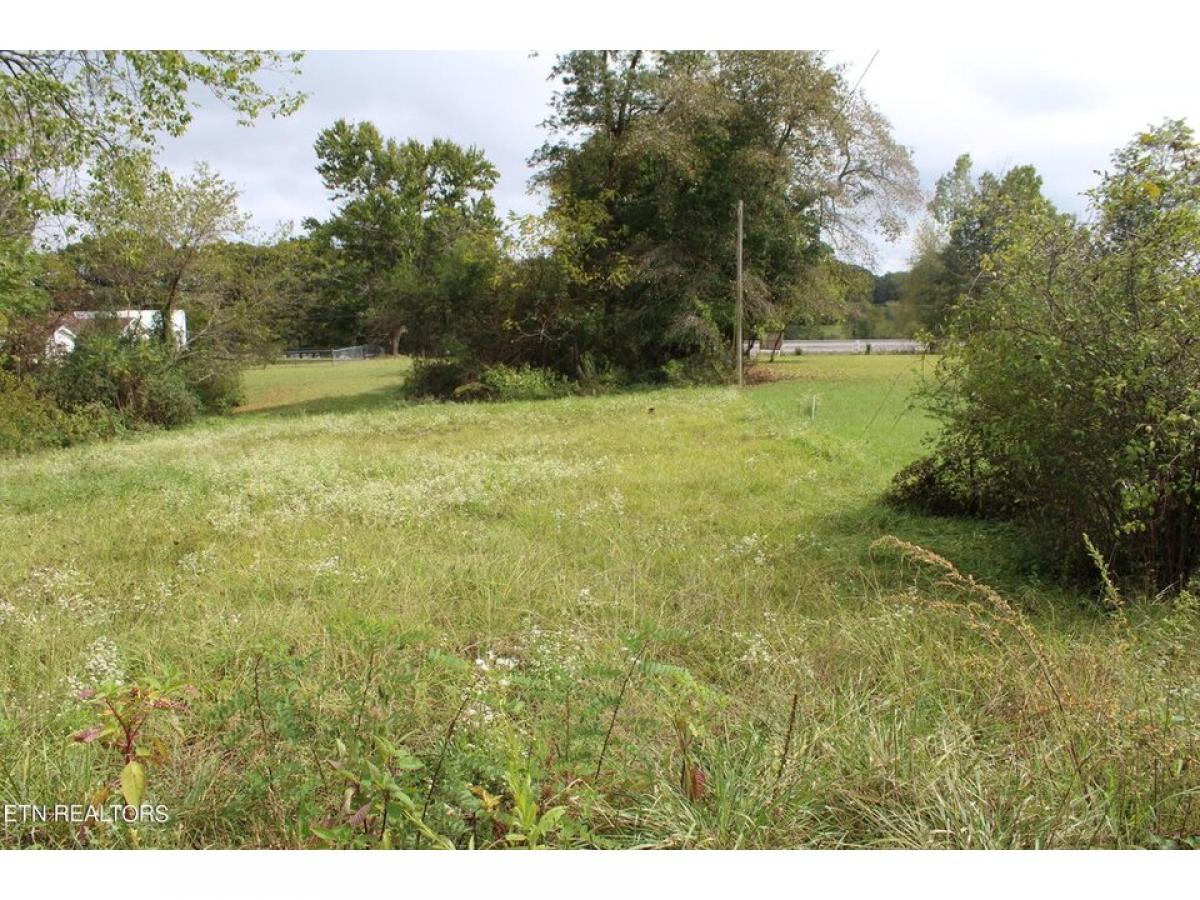 Picture of Residential Land For Sale in Jamestown, Tennessee, United States