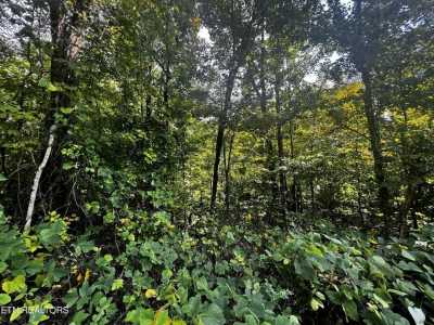 Residential Land For Sale in Jamestown, Tennessee