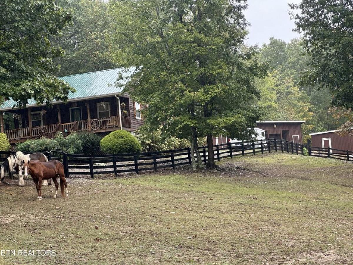 Picture of Home For Sale in Jamestown, Tennessee, United States