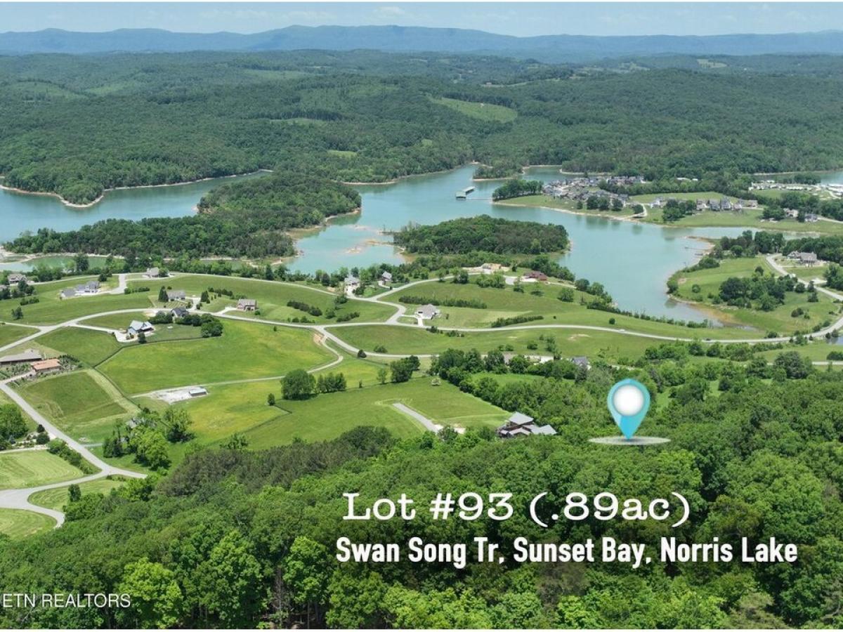 Picture of Residential Land For Sale in Sharps Chapel, Tennessee, United States