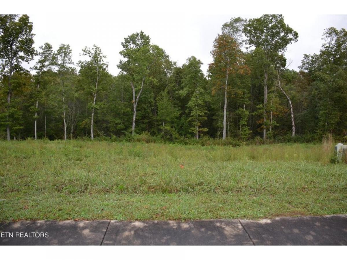 Picture of Residential Land For Sale in Crossville, Tennessee, United States