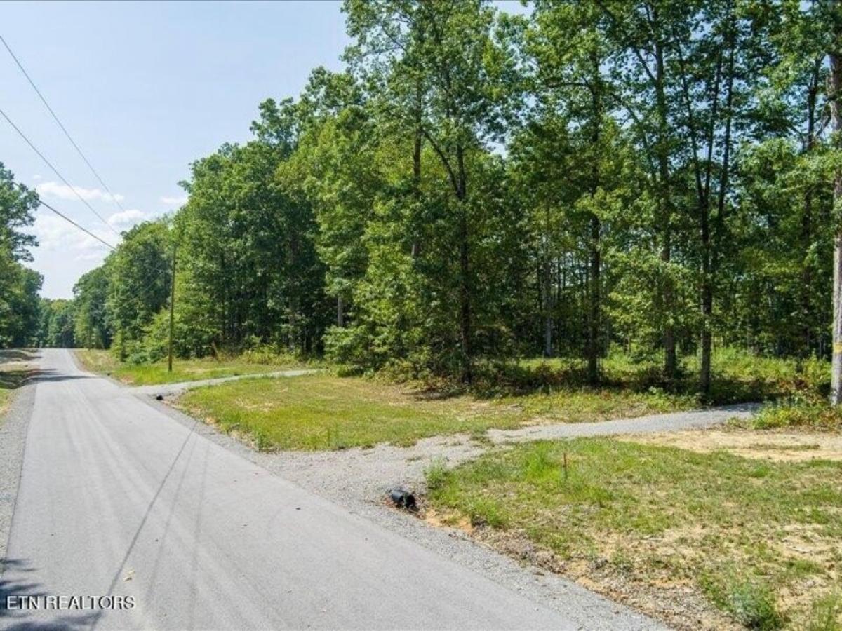 Picture of Residential Land For Sale in Monterey, Tennessee, United States