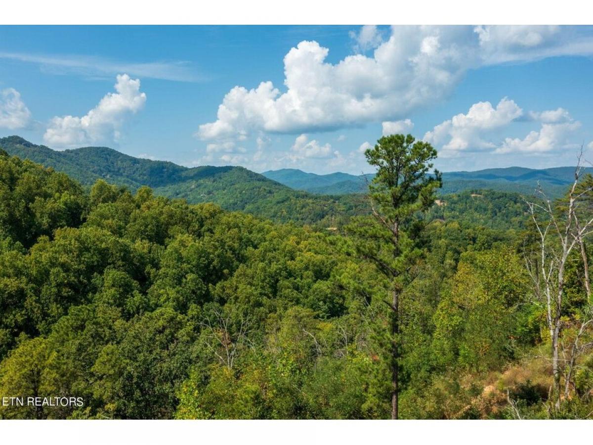 Picture of Residential Land For Sale in Sevierville, Tennessee, United States