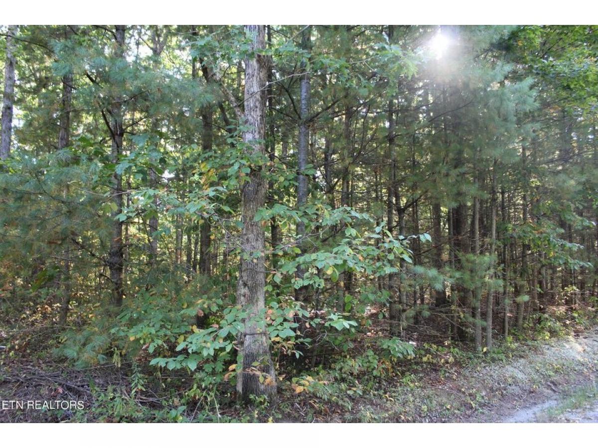 Picture of Residential Land For Sale in Jamestown, Tennessee, United States