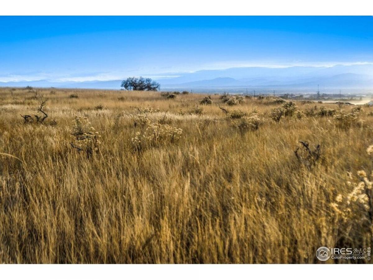 Picture of Residential Land For Sale in Fort Collins, Colorado, United States