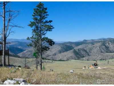 Residential Land For Sale in Livermore, Colorado