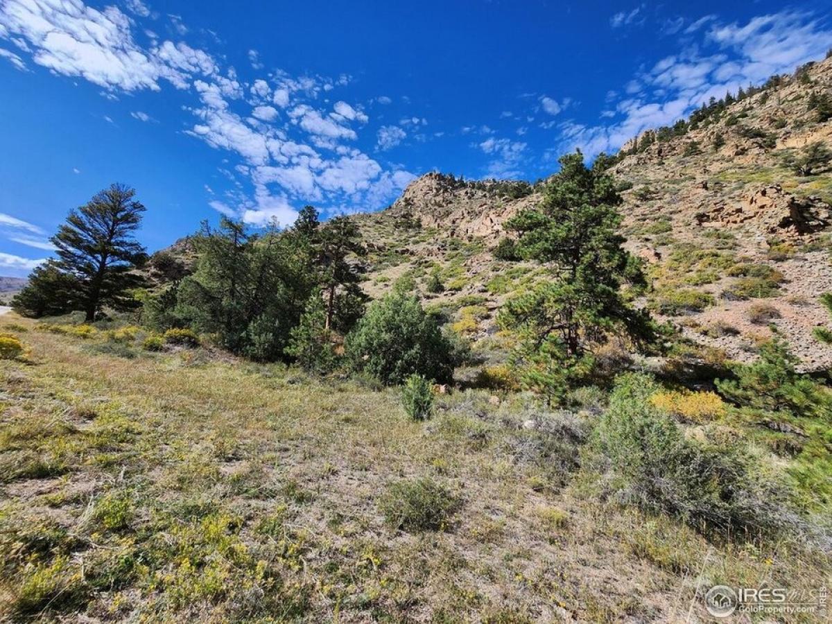 Picture of Residential Land For Sale in Bellvue, Colorado, United States