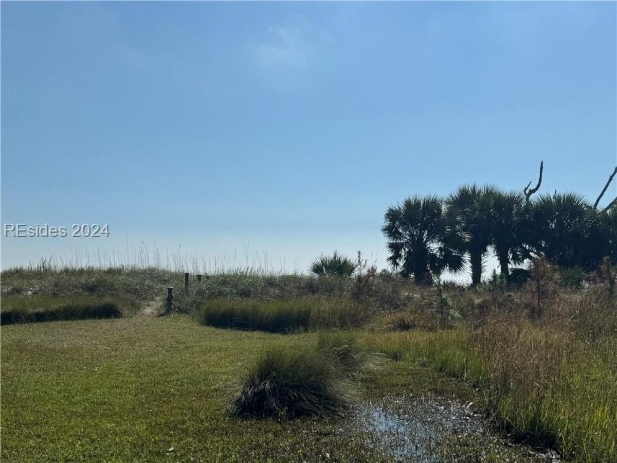 Picture of Residential Land For Sale in Daufuskie Island, South Carolina, United States