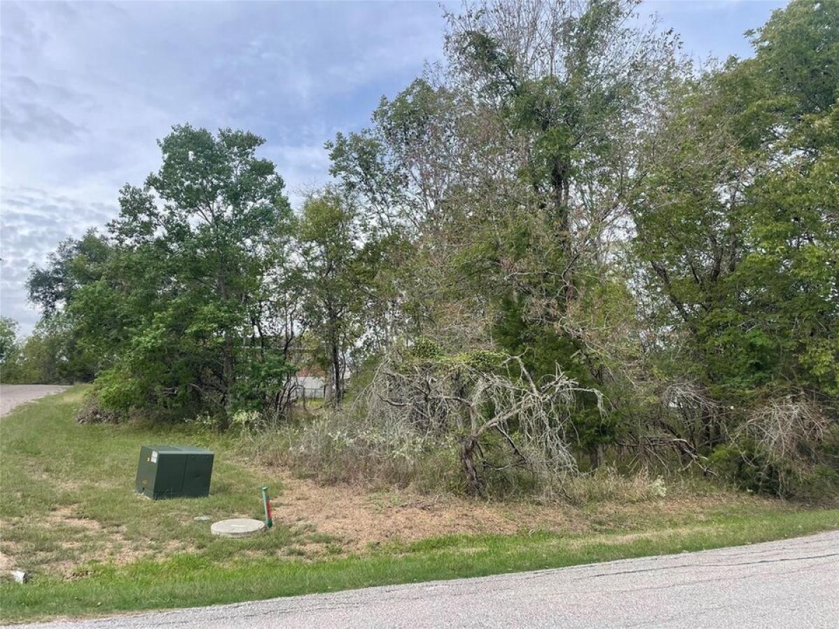 Picture of Residential Land For Sale in Coldspring, Texas, United States