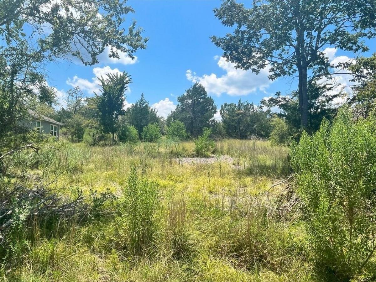 Picture of Residential Land For Sale in Coldspring, Texas, United States