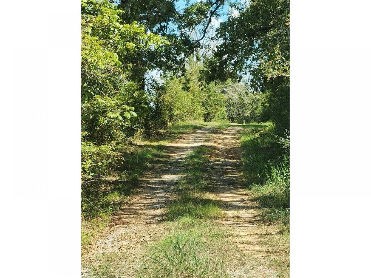 Picture of Residential Land For Sale in Oakwood, Texas, United States