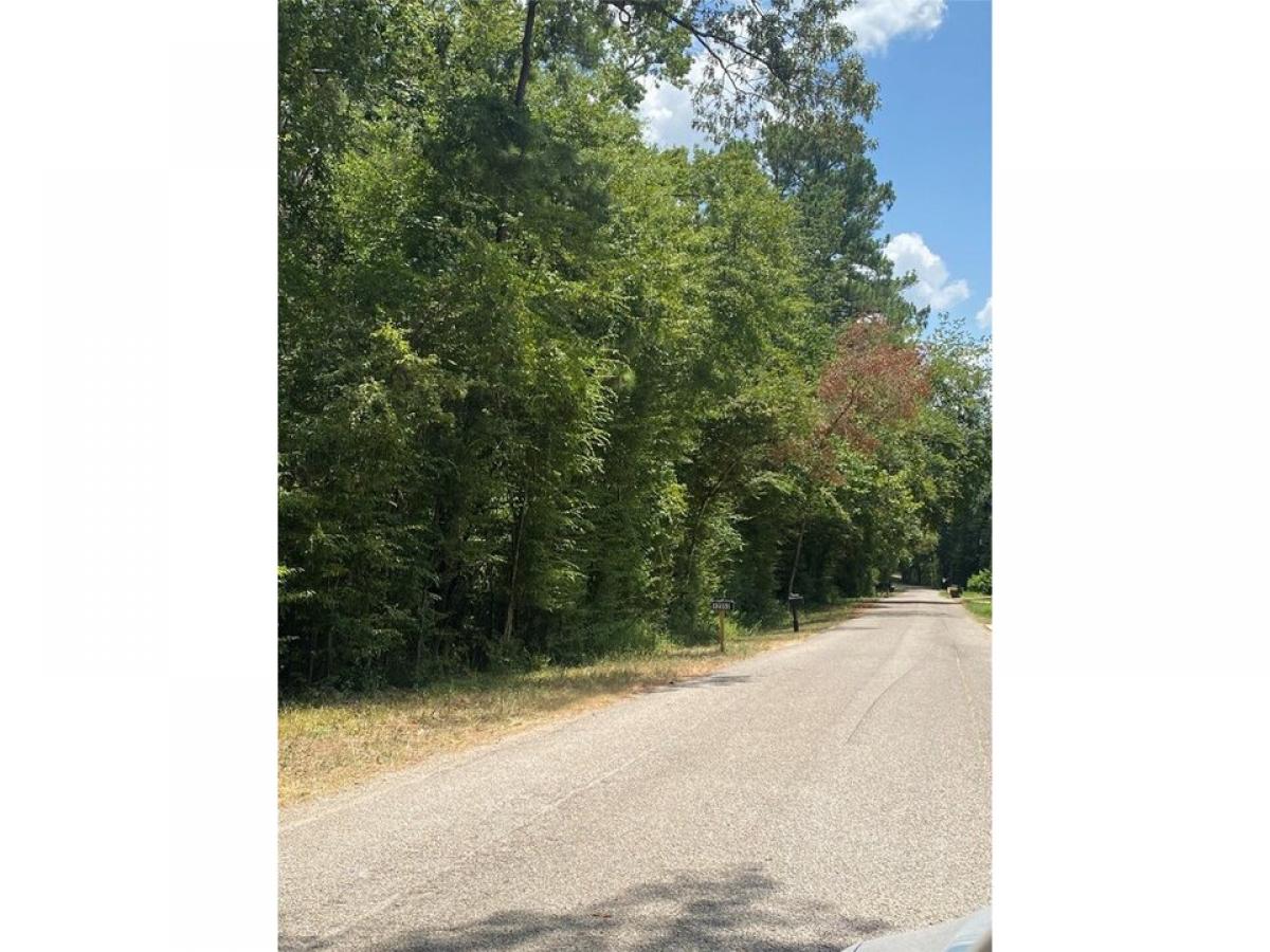 Picture of Residential Land For Sale in Conroe, Texas, United States