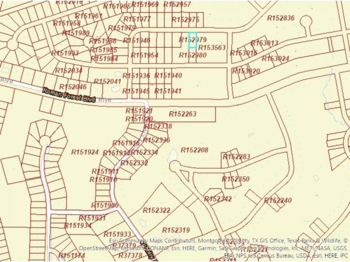 Picture of Residential Land For Sale in New Caney, Texas, United States