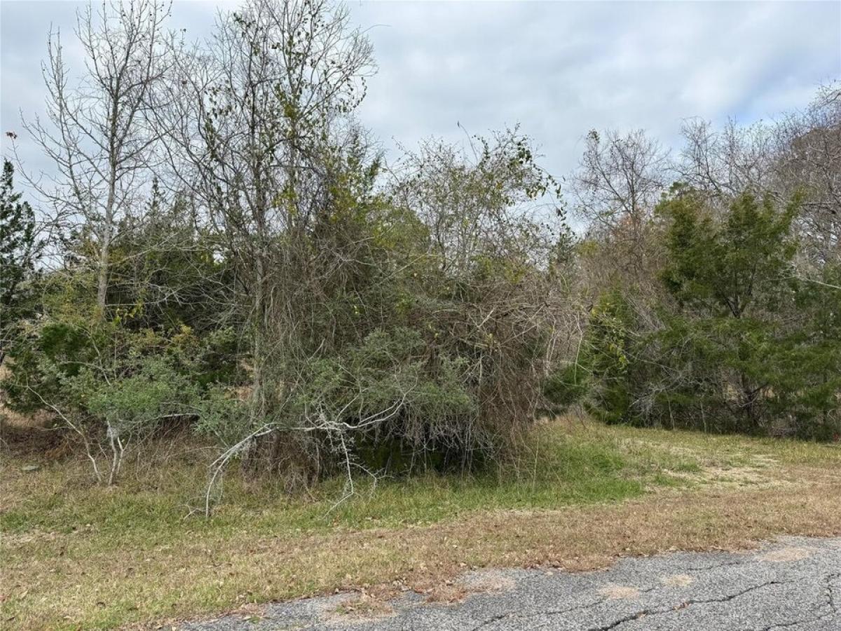 Picture of Residential Land For Sale in Coldspring, Texas, United States