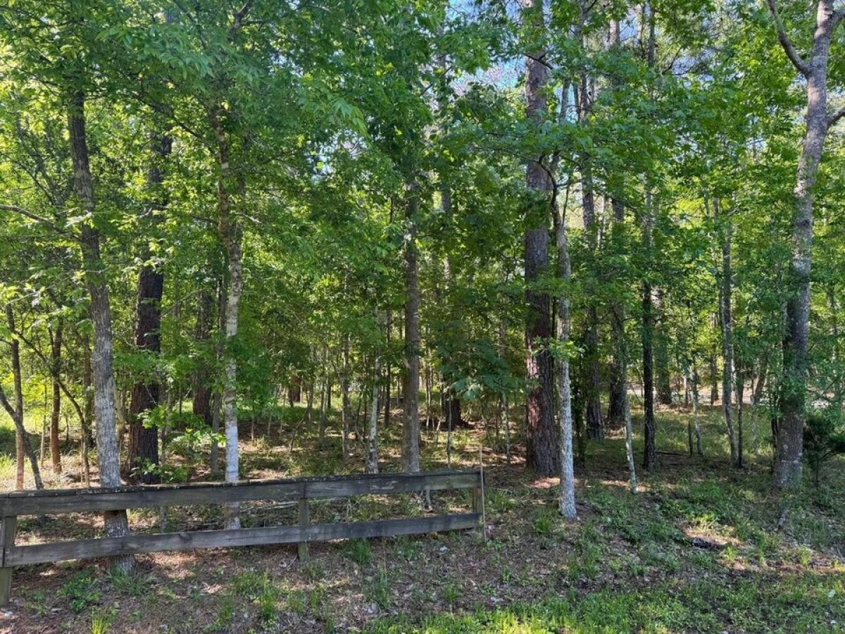 Picture of Residential Land For Sale in Coldspring, Texas, United States