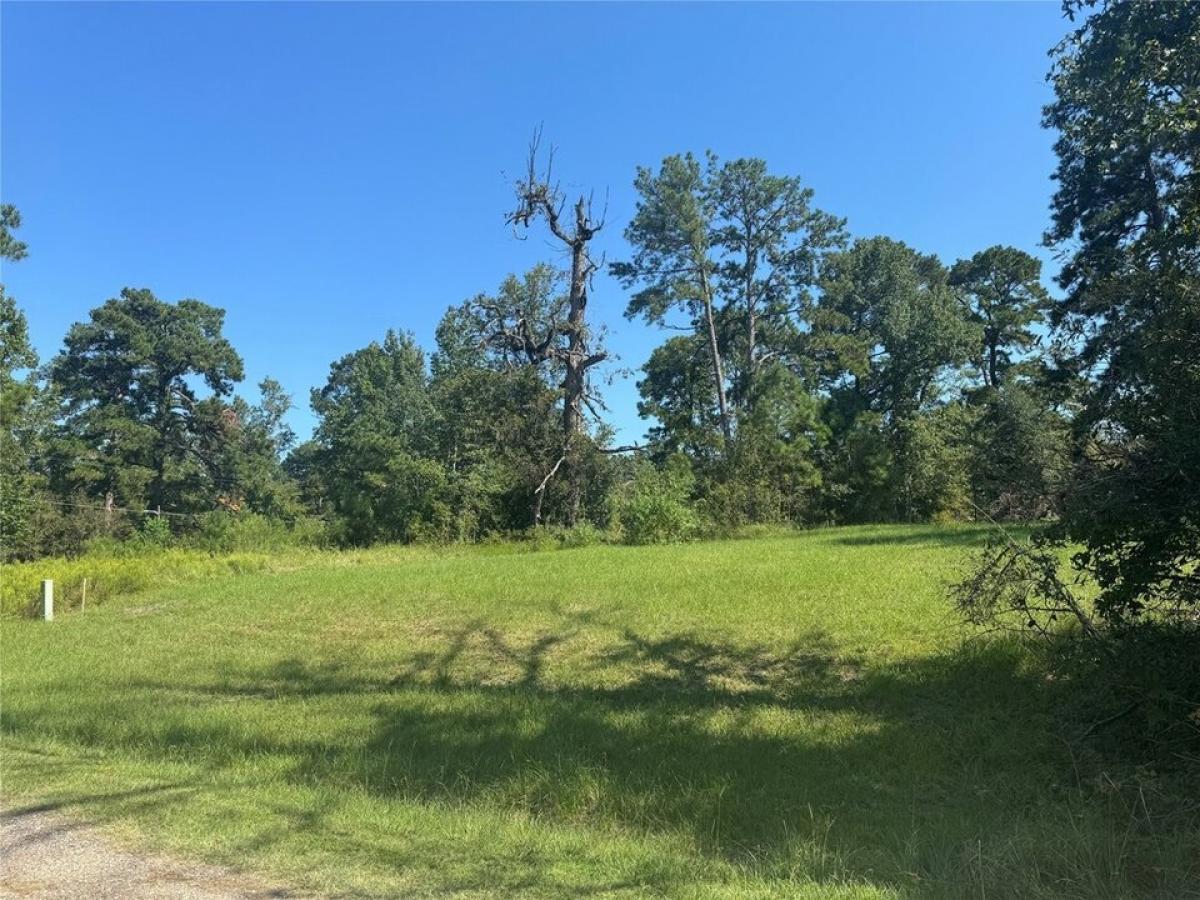 Picture of Residential Land For Sale in Coldspring, Texas, United States