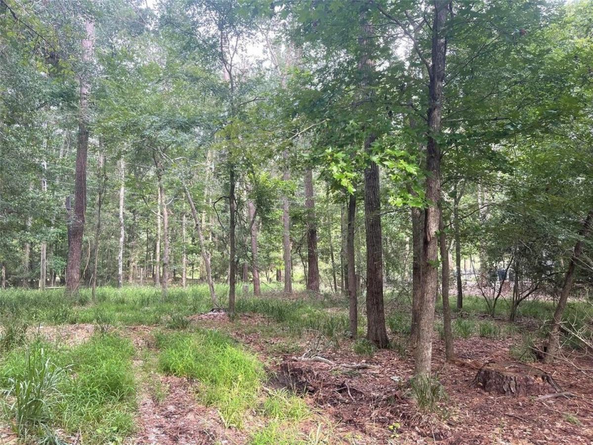 Picture of Residential Land For Sale in Huntsville, Texas, United States