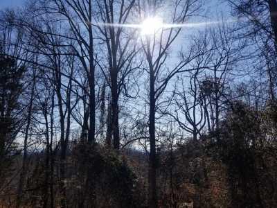 Residential Land For Sale in New Market, Tennessee