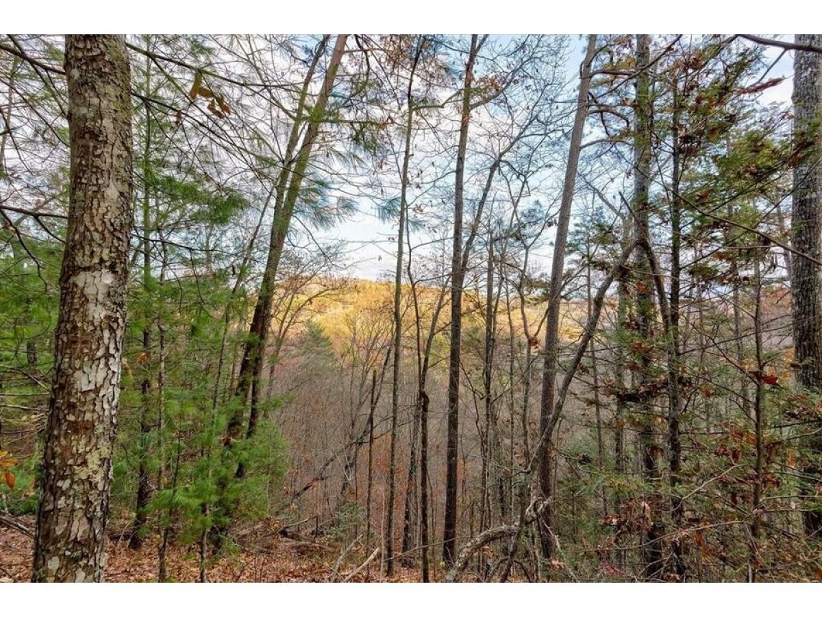 Picture of Residential Land For Sale in Sevierville, Tennessee, United States