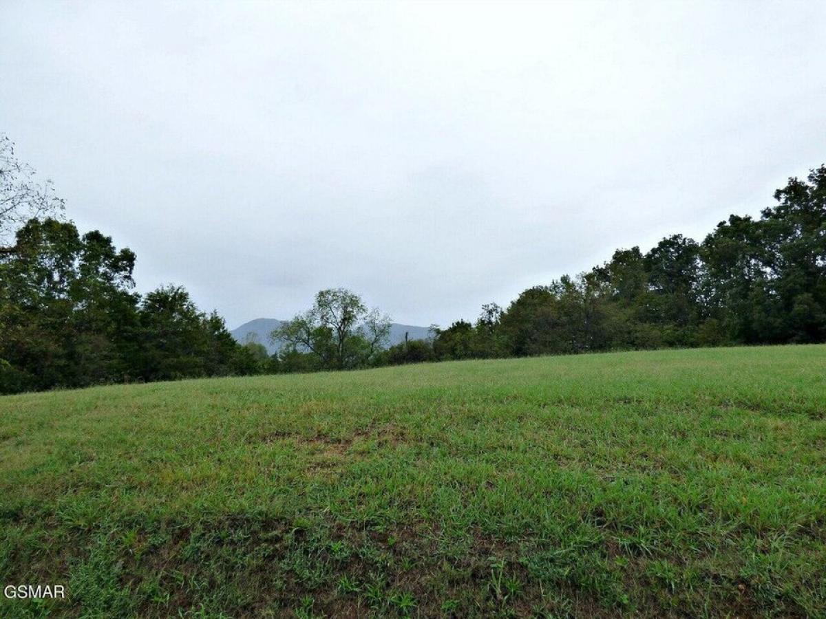 Picture of Residential Land For Sale in Blaine, Tennessee, United States