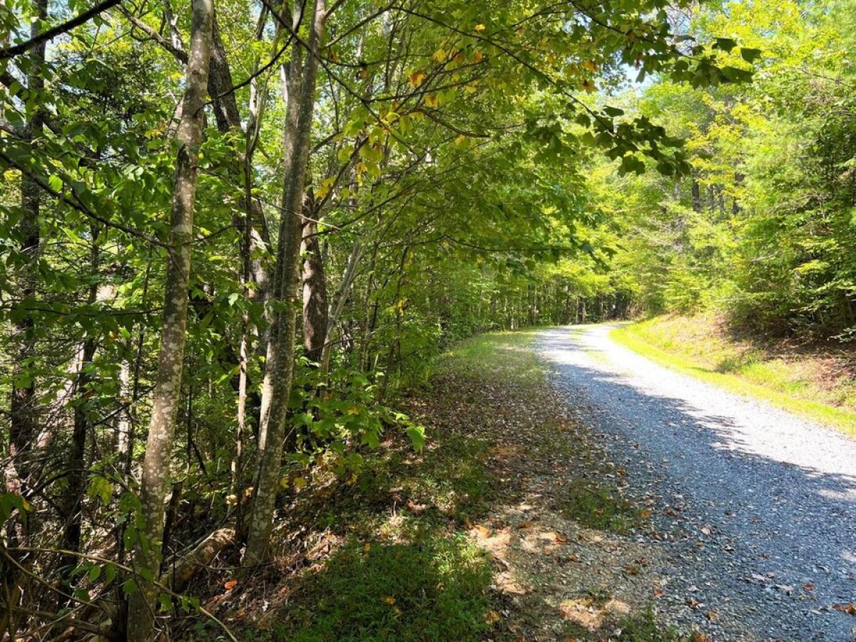 Picture of Residential Land For Sale in Hartford, Tennessee, United States