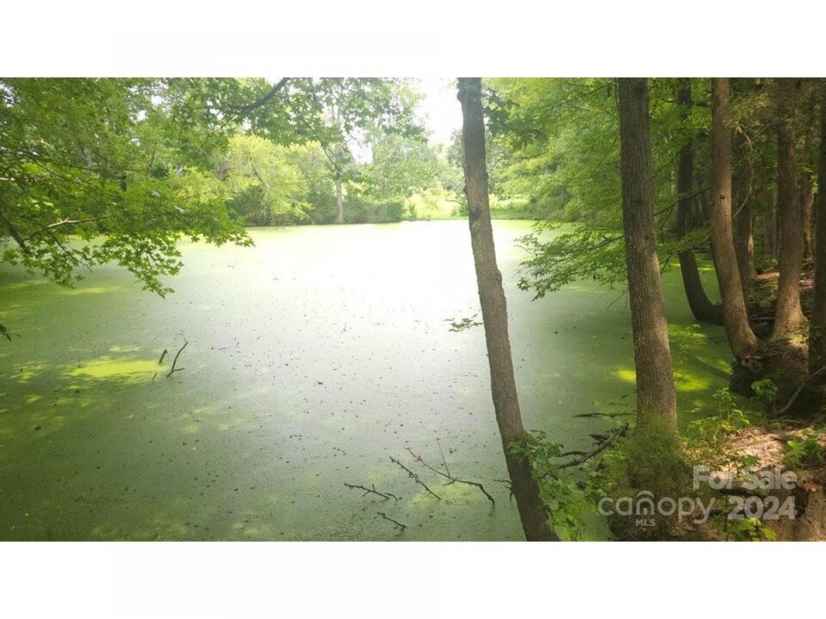 Picture of Residential Land For Sale in Peachland, North Carolina, United States