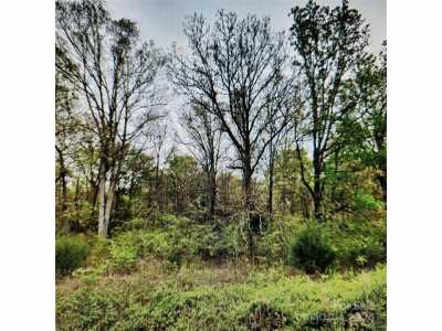 Residential Land For Sale in Peachland, North Carolina