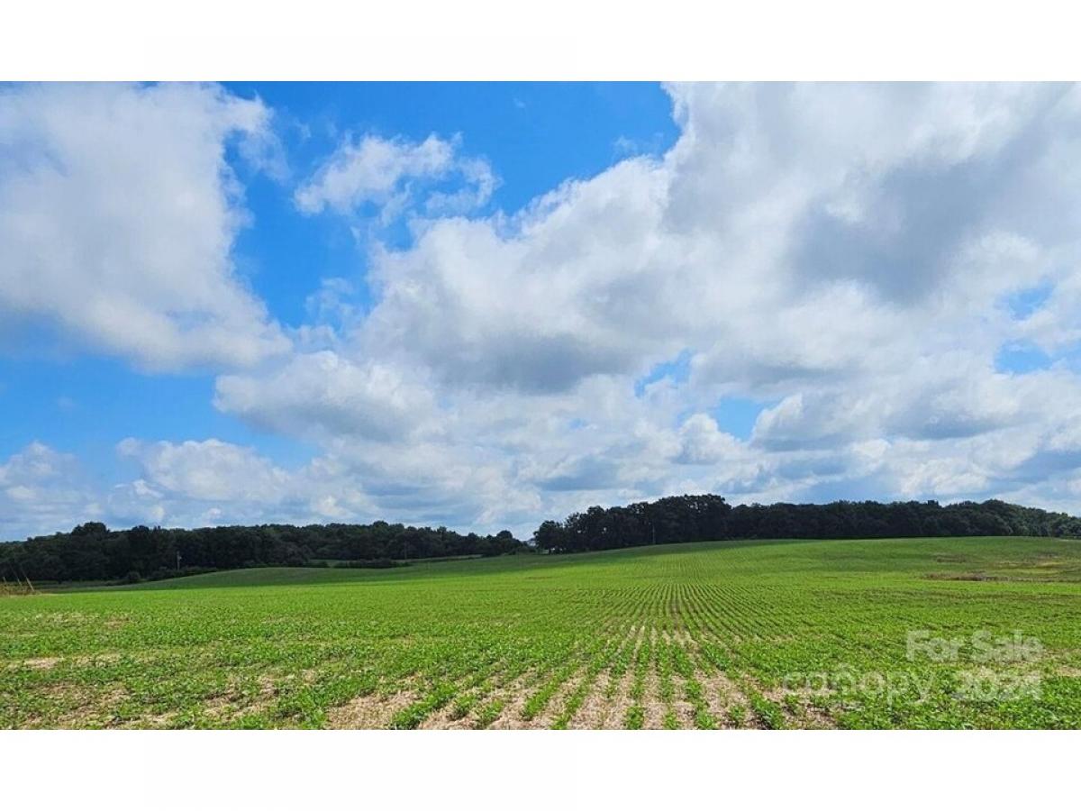 Picture of Residential Land For Sale in Peachland, North Carolina, United States